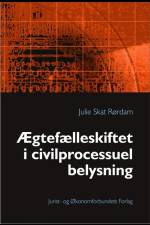 Ægtefælleskiftet i civilprocessuel belysning af Julie Skat Rørdam