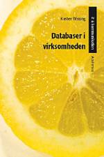 Databaser i virksomheden af Kirsten Møller Wissing