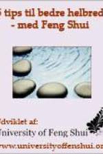 5 tips til bedre helbred og mere velvære - med Feng Shui af Lita Fridolin