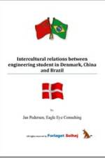Intercultural relations between engineering student in Denmark, China and Brazil af Jan Pedersen