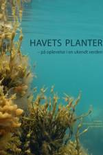 Havets planter