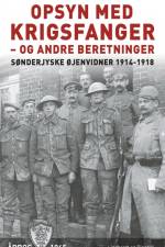 Opsyn med krigsfanger - og andre beretninger af Diverse forfattere