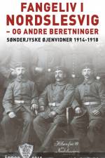 Fangeliv i Nordslesvig - og andre beretninger af Diverse forfattere