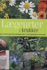 Lægeurter i krukker af Anne McIntyre