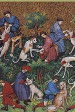 Hunden i historien