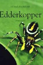 Edderkopper af Bent Faurby
