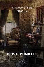 Bristepunktet af Jon Havsteen Zimsen