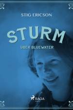 Sturm über Bluewater af Stig Ericson