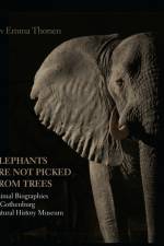 Elephants are not picked from trees