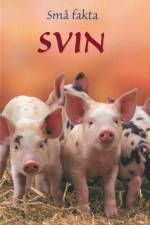 Små fakta: Svin