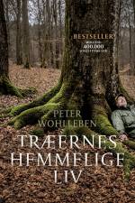 Træernes hemmelige liv af Peter Wohlleben