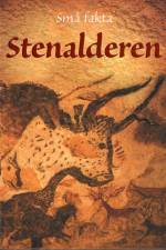 Små fakta: Stenalderen