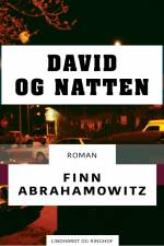 David og natten af Finn Abrahamowitz