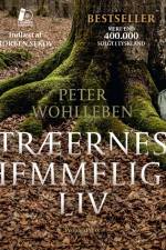 Træernes hemmelige liv af Peter Wohlleben