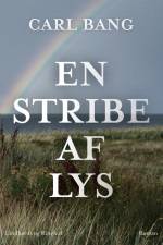 En stribe af lys af Carl Bang