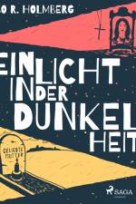 Ein Licht in der Dunkelheit af Bo R. Holmberg