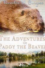 The Adventures of Paddy the Beaver af Thornton W. Burgess