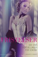 FRISTELSER - Sex små fortællinger for voksne af Camille Bech