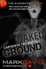 Labyrinth 1: Naked Ground af Mark David