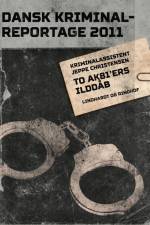 To AK81 ers ilddåb af Diverse forfattere