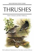 Thrushes af Peter Clement