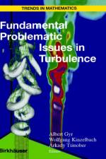Fundamental Problematic Issues in Turbulence
