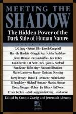 Meeting the Shadow af Connie Zweig