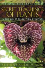 The Secret Teachings of Plants af Stephen Harrod Buhner