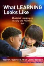 What Learning Looks Like af Reuven Feuerstein