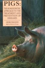 Pigs af George Macleod