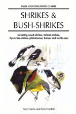 Shrikes and Bush-shrikes af Tony Harris