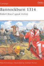 Bannockburn 1314 af Peter Armstrong