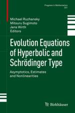 Evolution Equations of Hyperbolic and Schroedinger Type