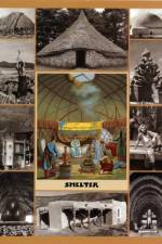 Shelter