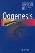 Oogenesis