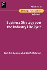 Business Strategy over the Industry Lifecycle