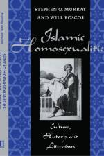 Islamic Homosexualities