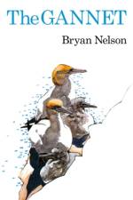 The Gannet af Bryan Nelson