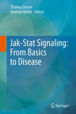 Jak-Stat Signaling : From Basics to Disease