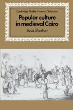 Popular Culture in Medieval Cairo