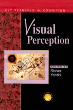 Visual Perception