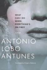 What Can I Do When Everything's on Fire? af Antonio Lobo
