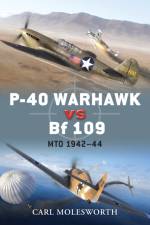 P-40 Warhawk vs Bf 109 af Carl Molesworth