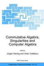 Commutative Algebra, Singularities and Computer Algebra