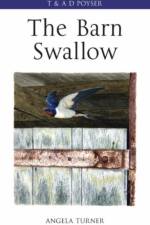 The Barn Swallow af Angela Turner