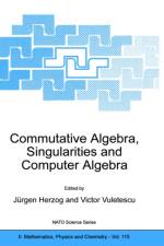 Commutative Algebra, Singularities and Computer Algebra