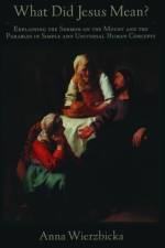 What Did Jesus Mean? af Anna (Professor of Linguistics Wierzbicka