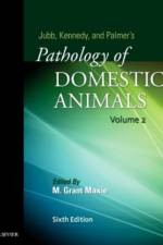 Jubb, Kennedy & Palmer's Pathology of Domestic Animals: Volume 2 af Grant Maxie