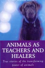 Animals As Healers And Teachers af Susan Chernak McElroy