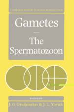 Gametes - The Spermatozoon